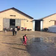 Campo profughi Ashty Iraq