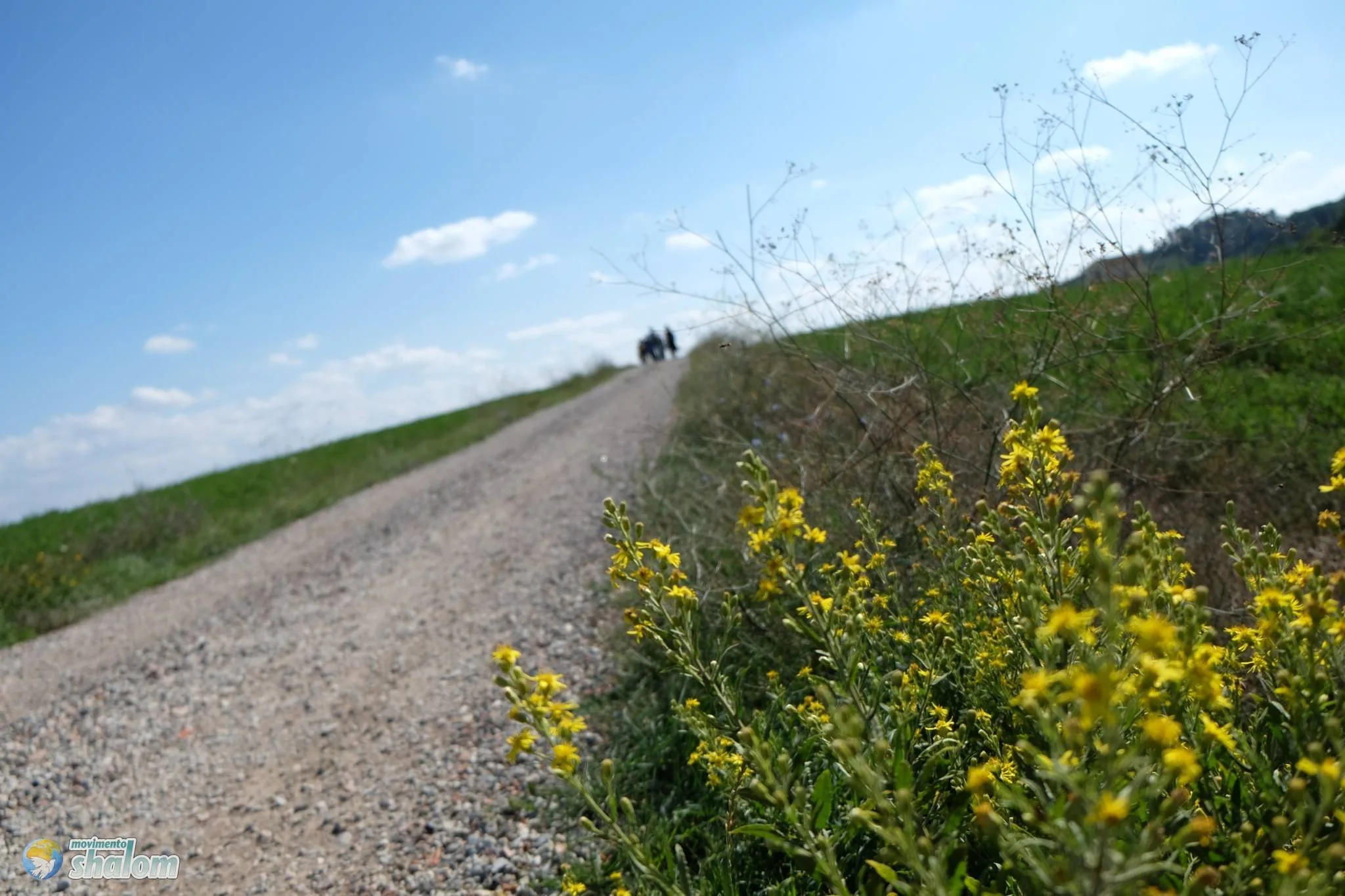 Camminando insieme sulla Francigena da Galleno a Fucecchio