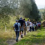 Nuove camminate sulla via Francigena