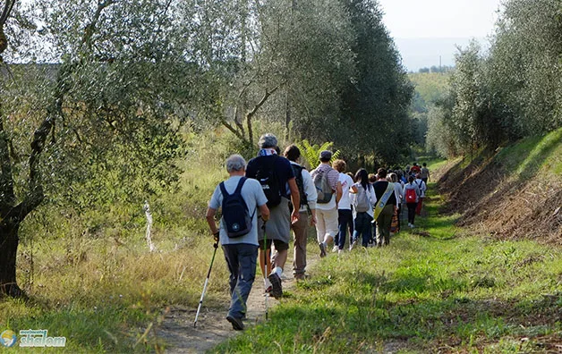 Nuove camminate sulla via Francigena