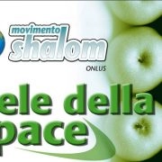 Mele della pace 2018: cerchiamo volontari!