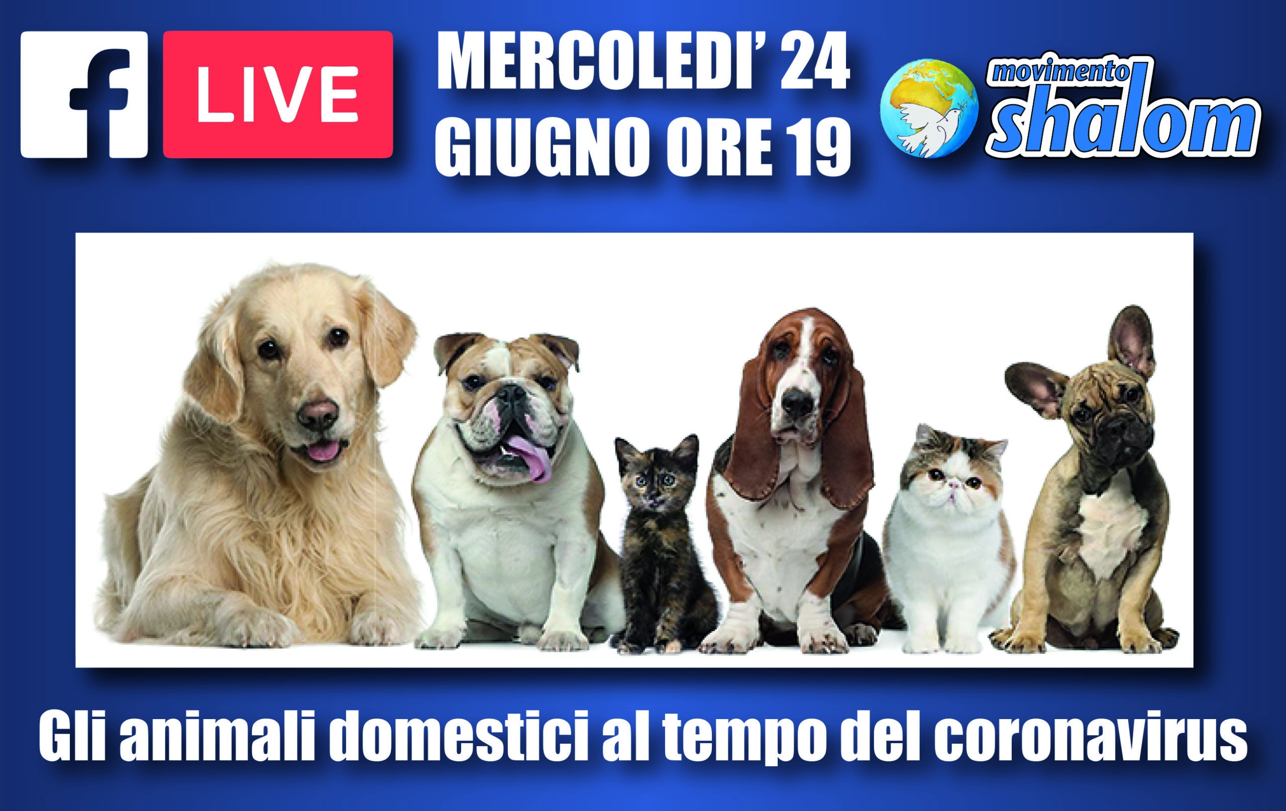 Shalom al tempo del coronavirus - Diretta Facebook del 24 giugno 2020